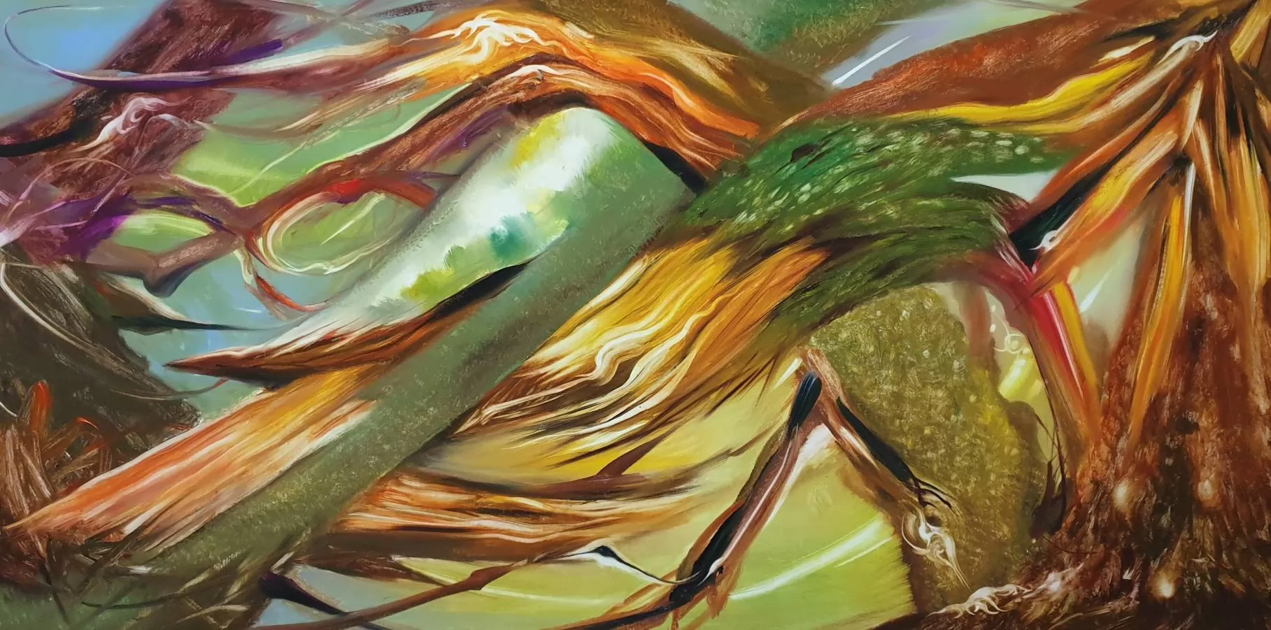 The Beauty of The Cycle in Nature